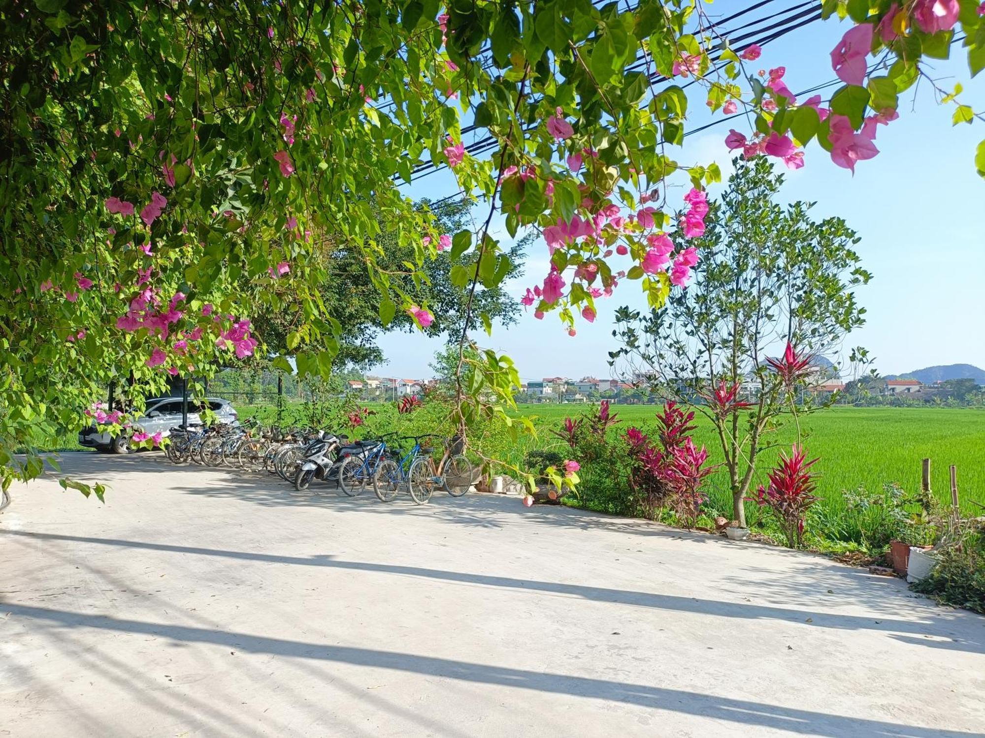 Tam Coc Sunshine Homestay Ninh Binh Exterior photo
