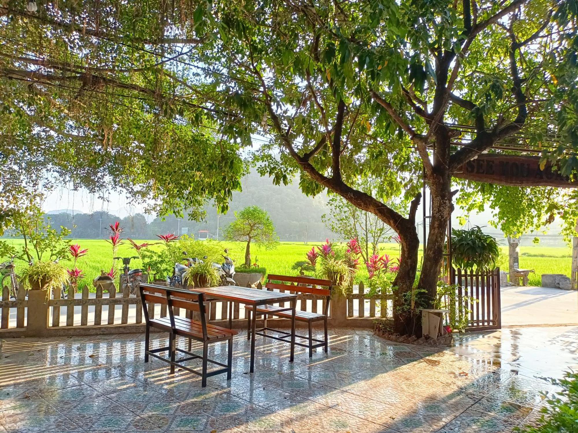 Tam Coc Sunshine Homestay Ninh Binh Exterior photo
