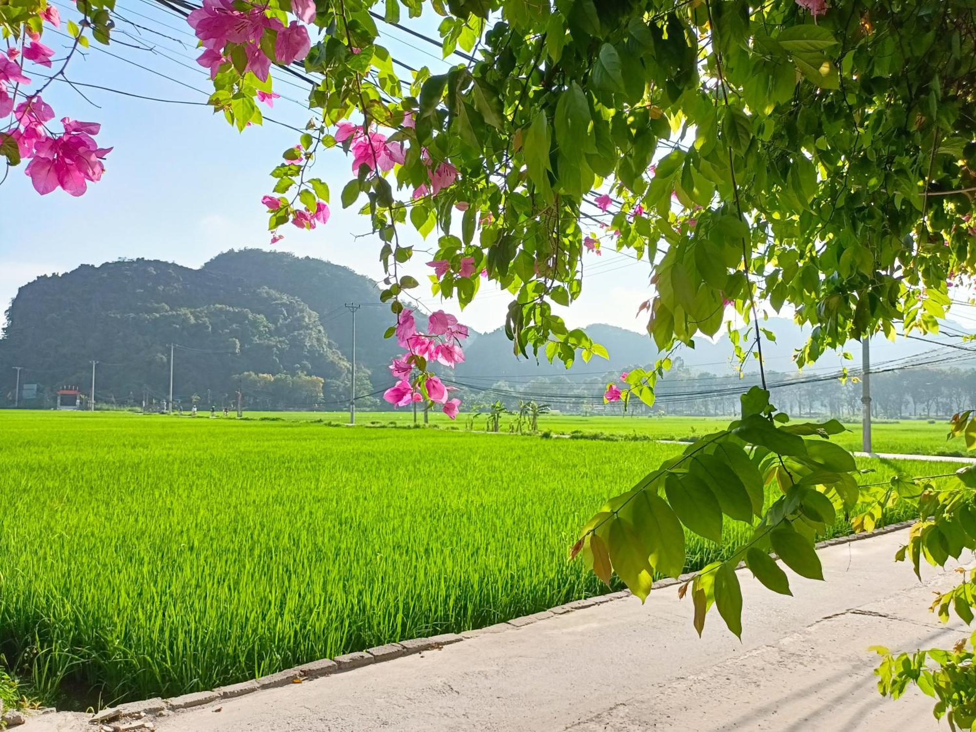 Tam Coc Sunshine Homestay Ninh Binh Exterior photo