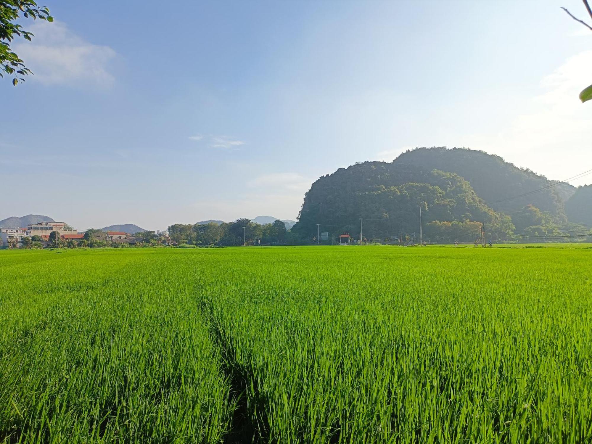 Tam Coc Sunshine Homestay Ninh Binh Exterior photo