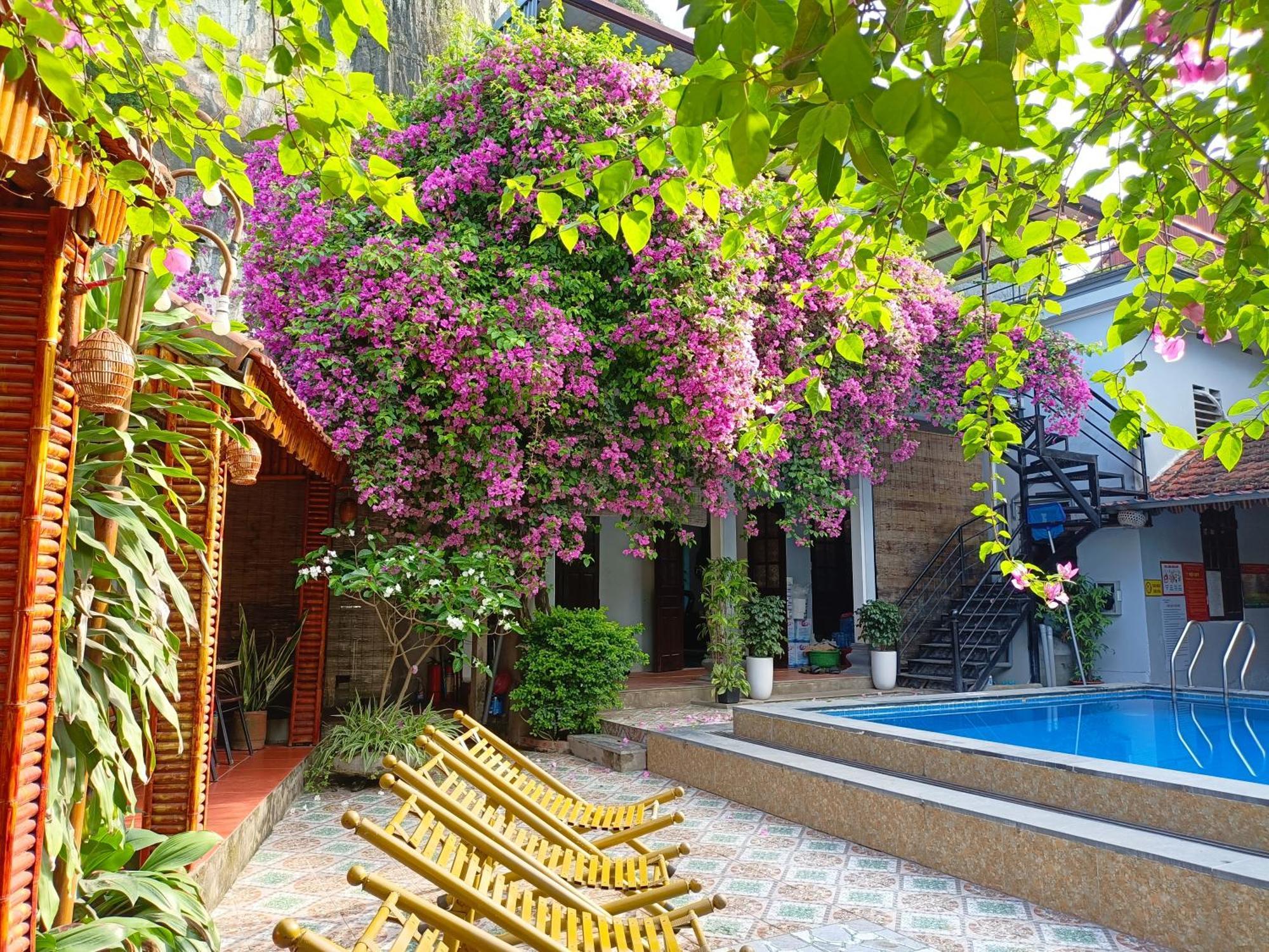 Tam Coc Sunshine Homestay Ninh Binh Exterior photo